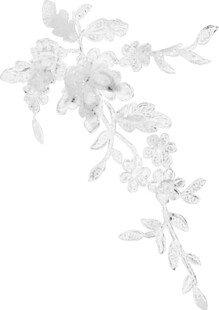 白色花卉枝叶装饰图案