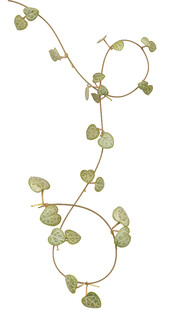 蔓藤绿植装饰图案
