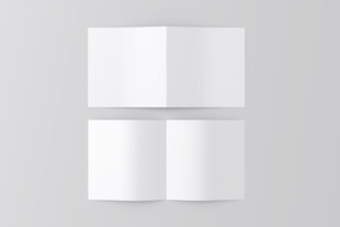 空白双折页展示样机