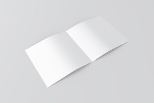 空白双页画册展示样机