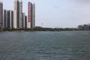 湖畔高楼林立的城市景观