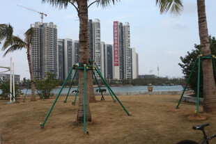 城市公园中的秋千与高楼