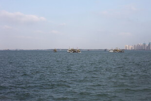 海上船只与远处城市景观