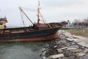 岸边停靠的老旧渔船