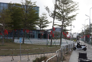 城市街道旁的休闲场景