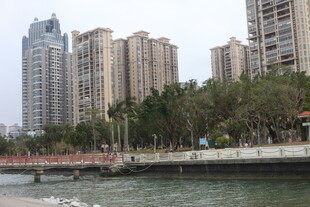 河畔高楼林立的城市景观