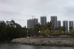 河畔高楼与绿植景观