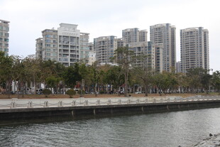 河畔高楼林立的城市景观