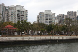 河畔都市景观 高楼林立