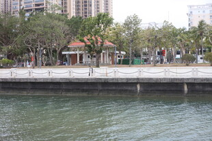 河畔城市公园景观