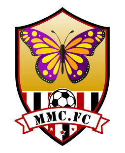 金色蝴蝶足球队logo