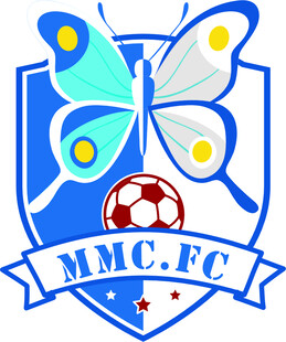 蓝色蝴蝶盾牌logo