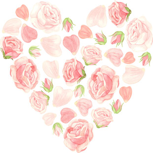 心形粉色玫瑰花卉图案