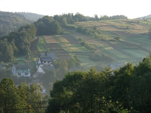 山间田园美景