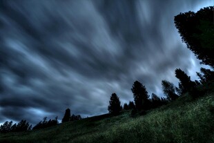 夜幕下的草地与树木景观