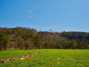 翠绿田野与远处山峦风光