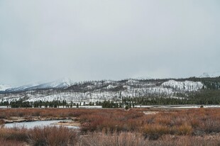 冬日雪覆山丘景观
