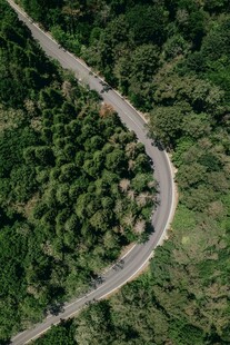 蜿蜒公路穿行茂密森林