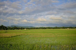 广袤绿野与天际的田园风光