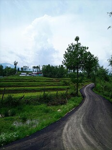 乡间蜿蜒小路 田园风光