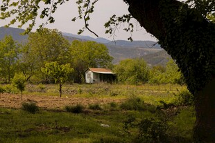 乡村田野间的静谧小屋