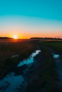 夕阳下的湿地美景