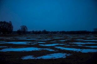 夜幕下的湿地景观