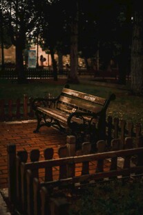 夜晚公园中的长椅景观