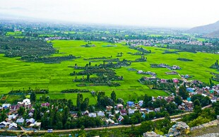 田园风光中的村落美景