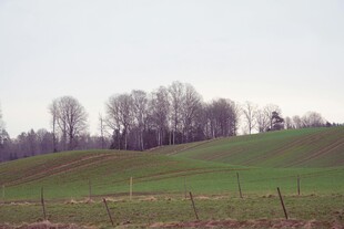 乡村田野风景图