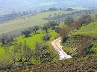 山间蜿蜒小路 田园风光