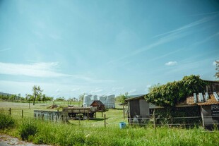 乡村田园风光 宁静小景