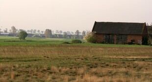 田野中的古朴小屋