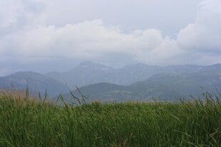 山间绿野 云雾缭绕之景