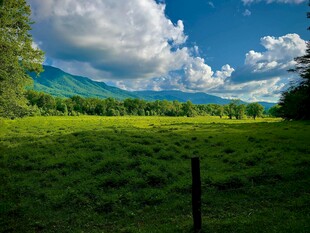 绿野蓝天间的自然美景