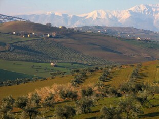 田园风光中的远山景色