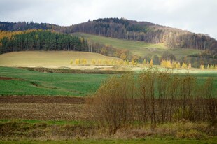 秋日山野田园风光美景