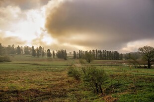 黄昏下的田野与树林美景