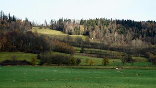 田园山坡风光美景