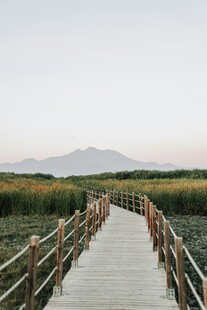 木栈道延伸向远方风景