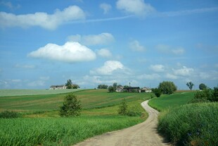乡间小路 绿野蓝天风光