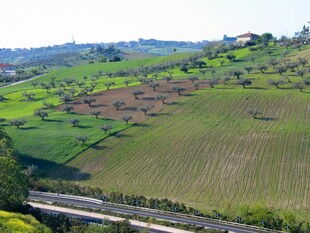 田园公路风光