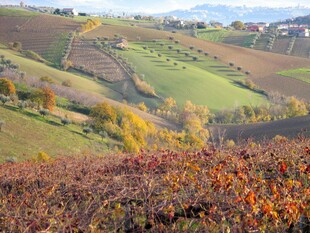 秋日丘陵田园风光美景