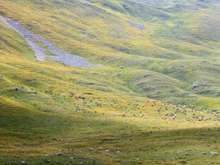 山间绿野美景