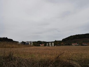 旷野中的废弃建筑