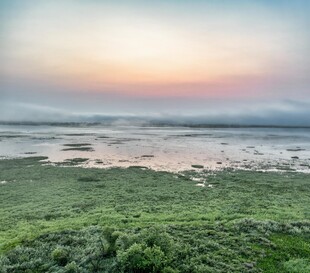海边日出时的湿地美景