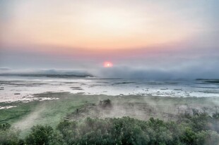 日出时分的湿地美景