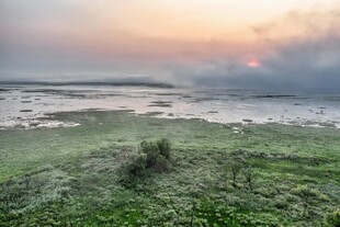 黄昏下的广袤湿地景观