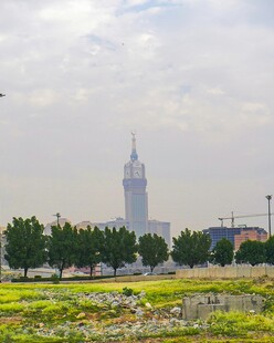 城市绿地旁的高耸建筑