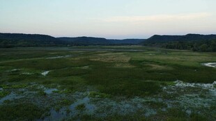 广袤原野的黄昏景致